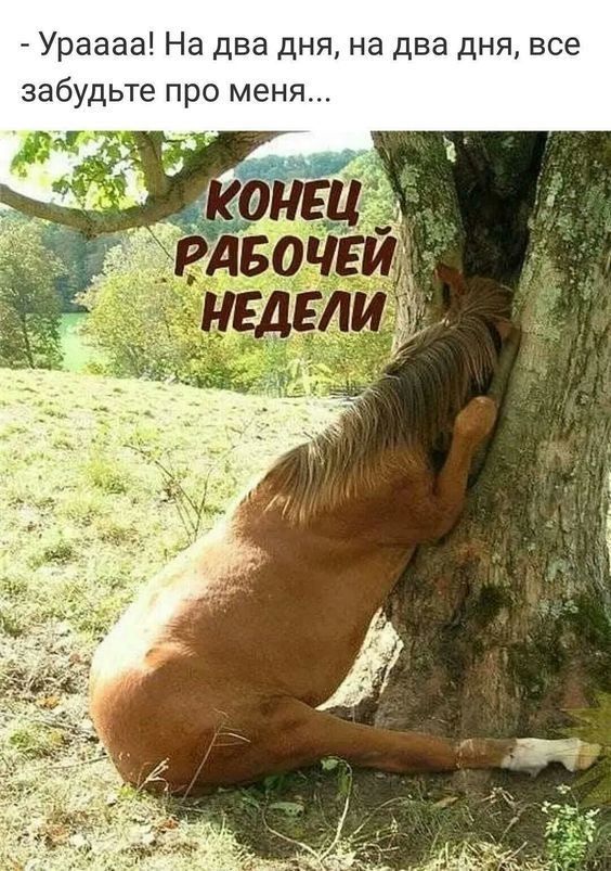 Ураааа На два дня на два дня все забудьте про меня
