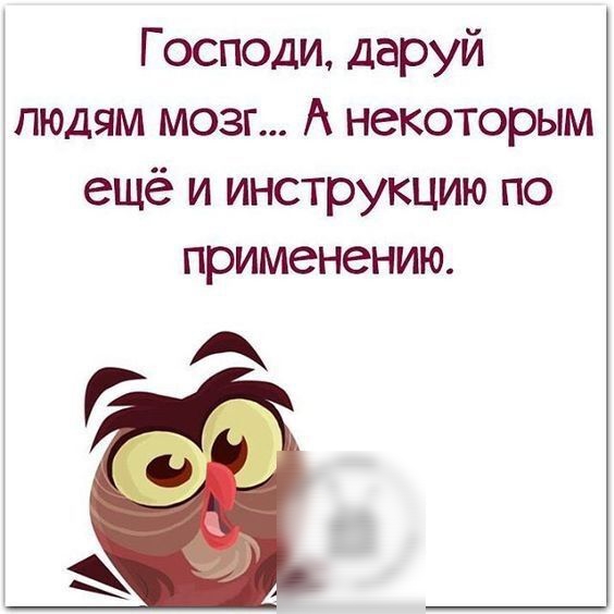Господи даруй людям мозг А некоторым ещё и инструкцию по применению