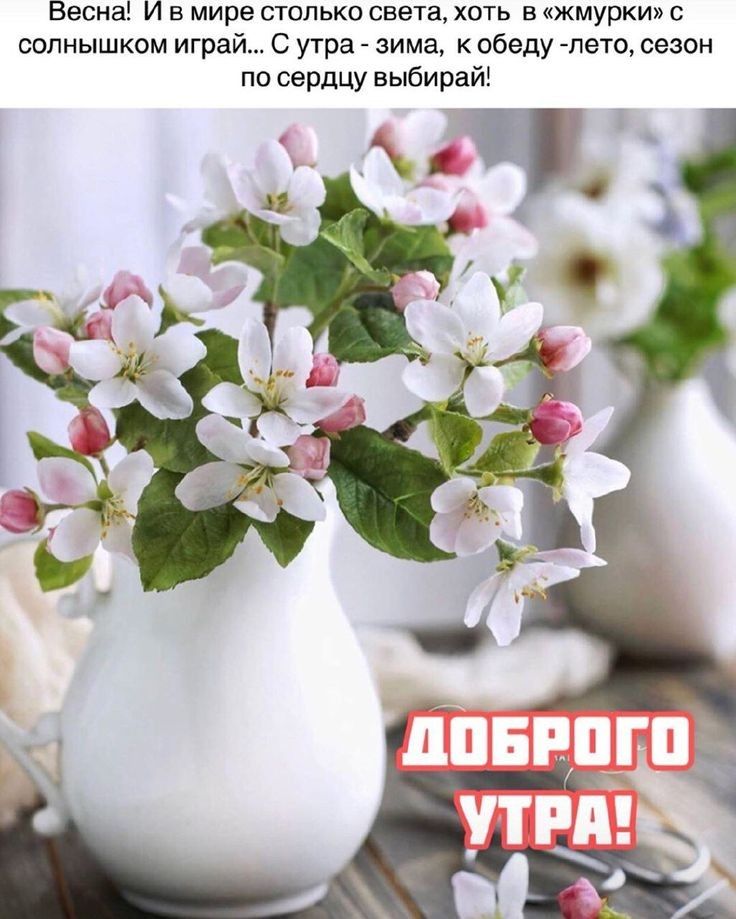 Весна И в мире столько света хоть в жмурки с солнышком играй С утра зима к обеду пето сезон по сердцу выбирай