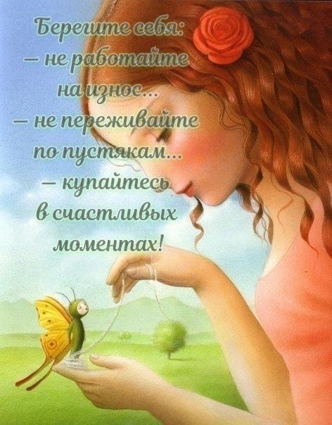 супшітеср 8 сцистищёых тт котлах Ёщд