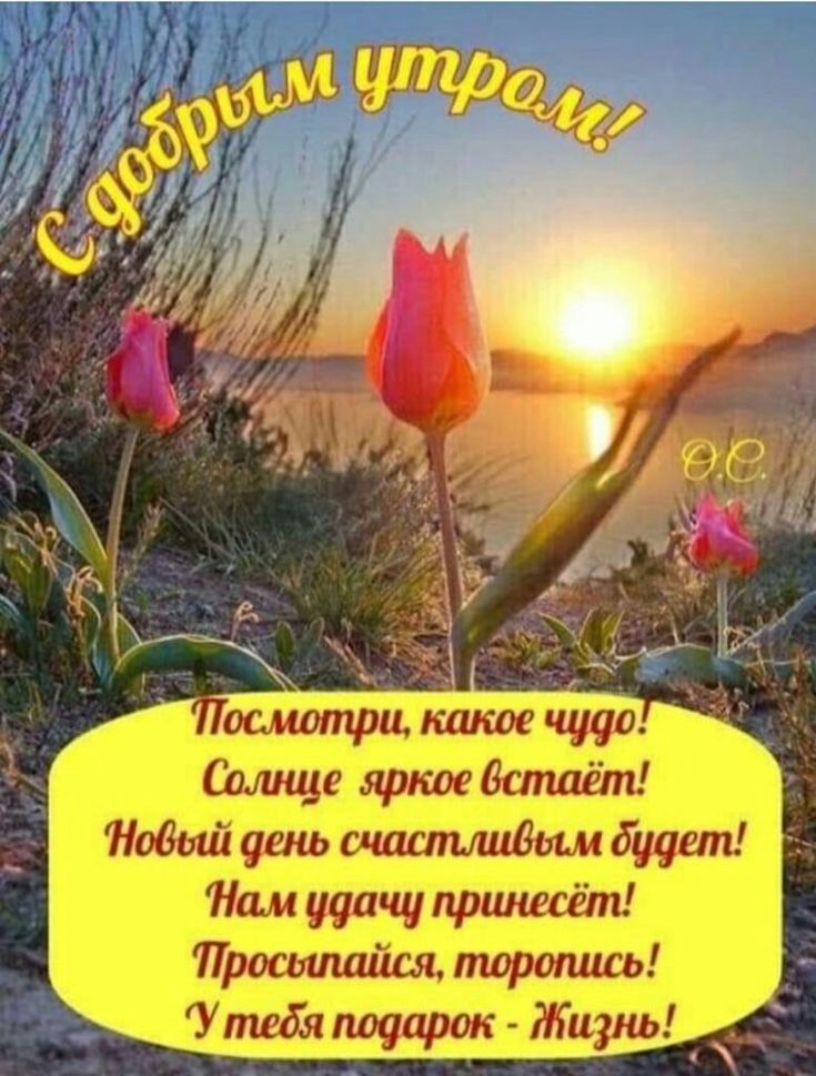 ыЧЦ _п птн щ и_ МммНО тии1 гіпшіц пт 01 АЖ ЦПЦНЦщ ИП