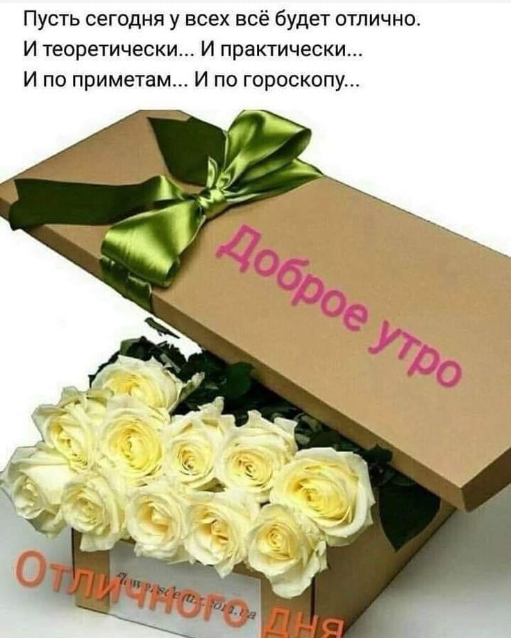Пусть сегодня у всех всё будет отлично И теоретически И практически И по приметам И по гороскопу