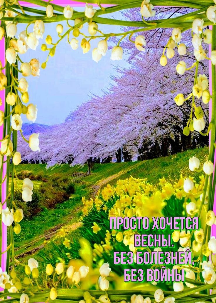 _чд ПРОСТО ХОЧЕТСЯ