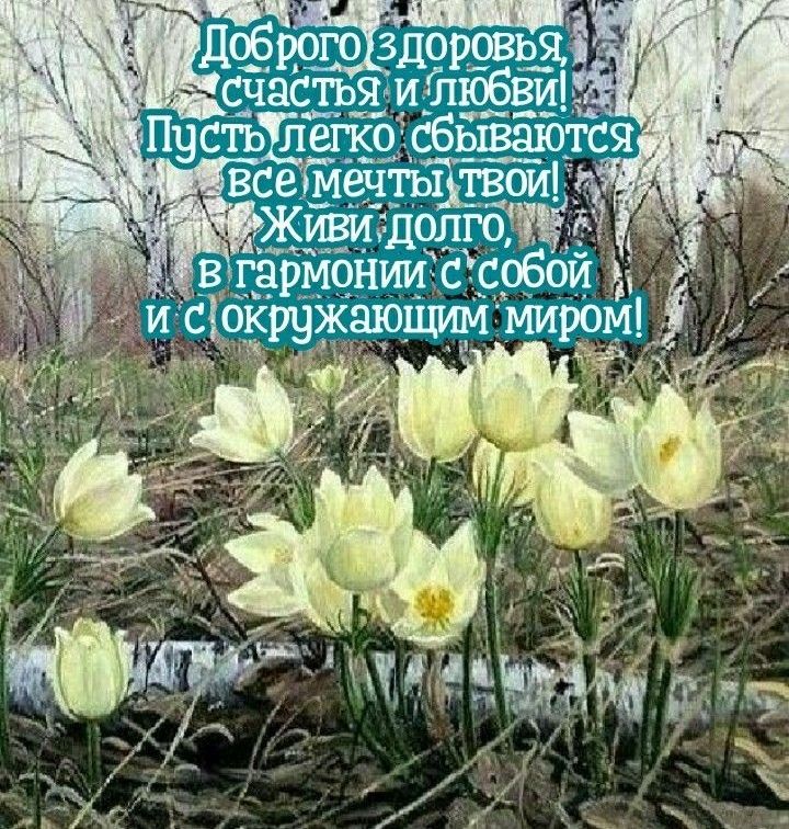 Жившдолго вгармонии собои