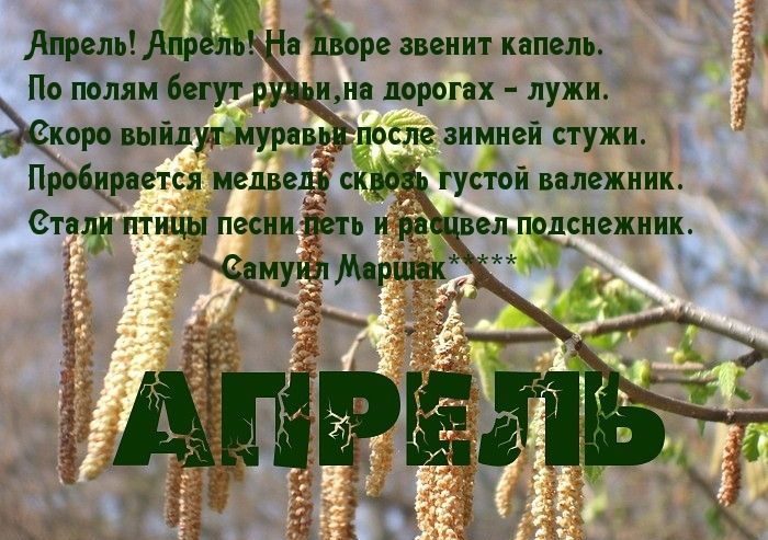 _ Апрель Аир а Йорг звенит капель По полям бегут ру ина дорогах лужи Ккоро выйдут мурав_ь после зимней стужи Пробирается медвед ск густой валежник Стиви птицы песнийвть и рр вел подснежник еЩР _ ЕЙ