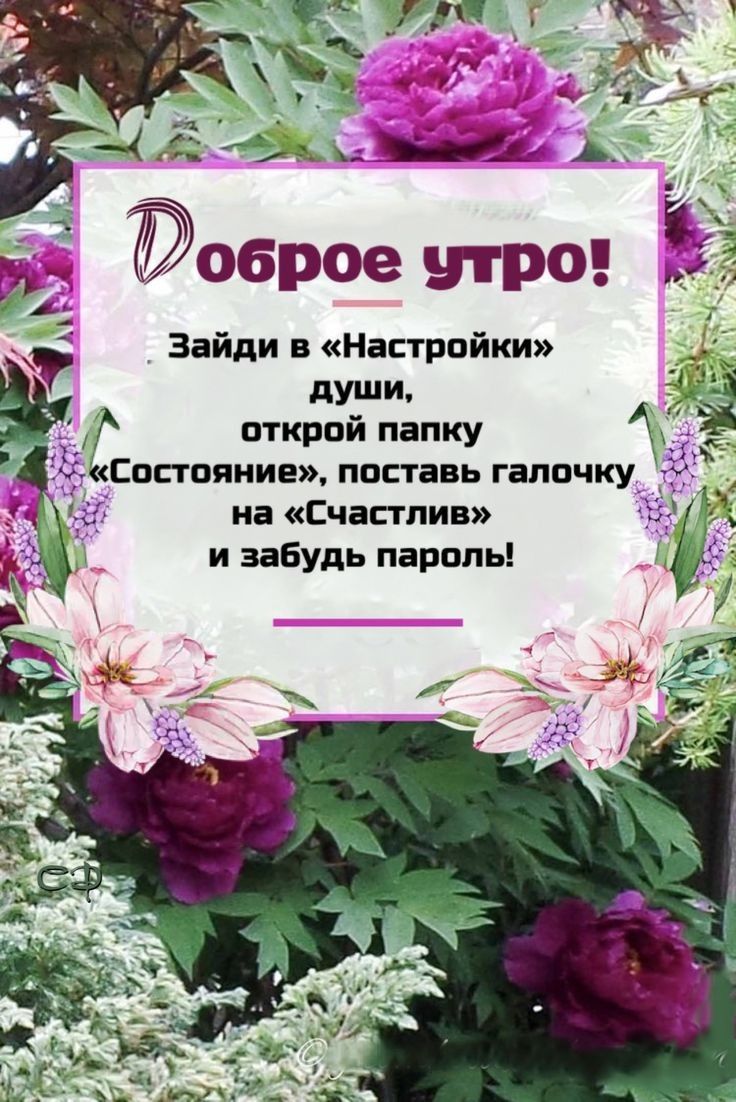 О _ Зайди в Настройки души открой папку Состояние поставь галочку на Счастлив и забудь пароль