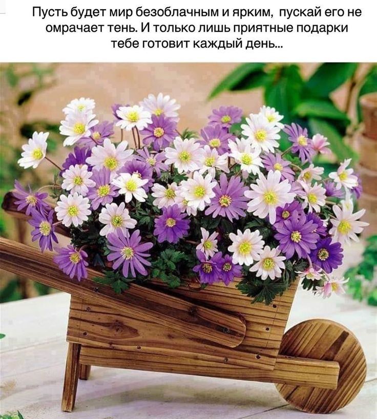 Пусть будет мир безоблачным и ярким пускай его не омрачает тень И только лишь приятные подарки тебе готовит каждый день