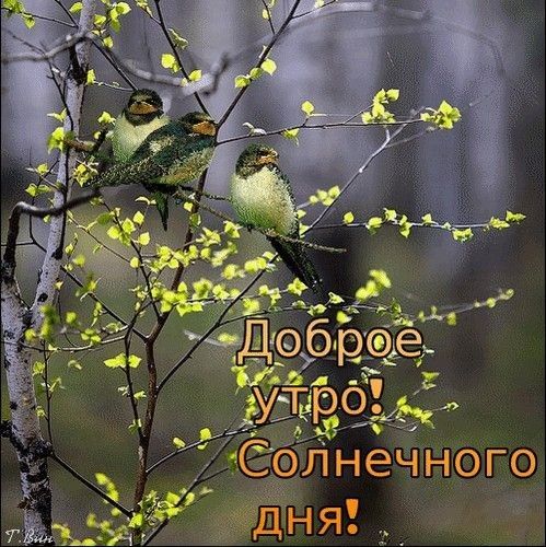 1 33 Длнечного 533 ЁЁНЯ
