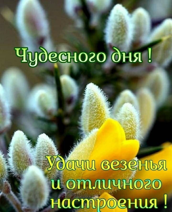 _ааытг