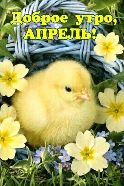 Доброе утро, апрель!