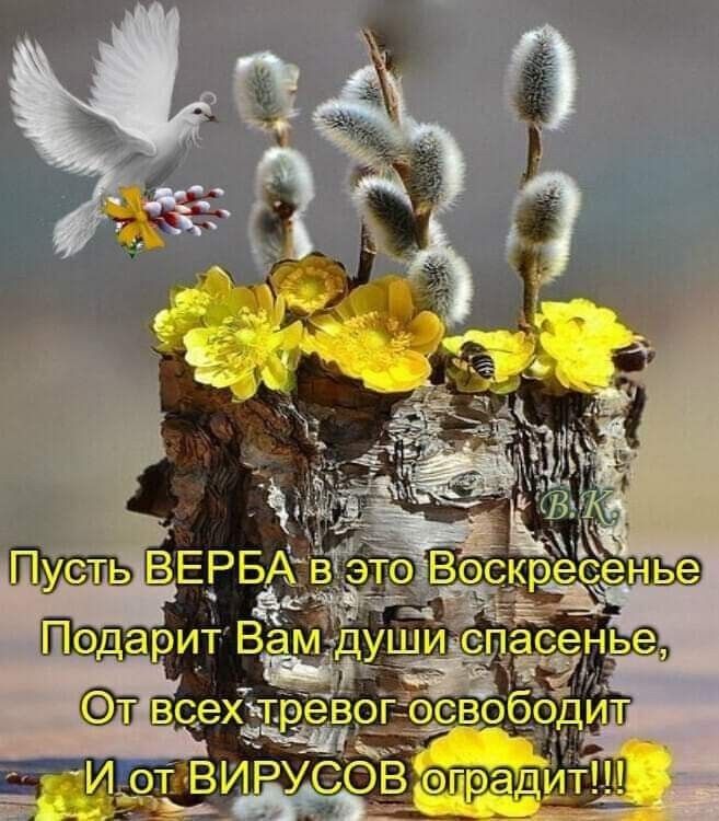 дЁёВО ИРУЗ