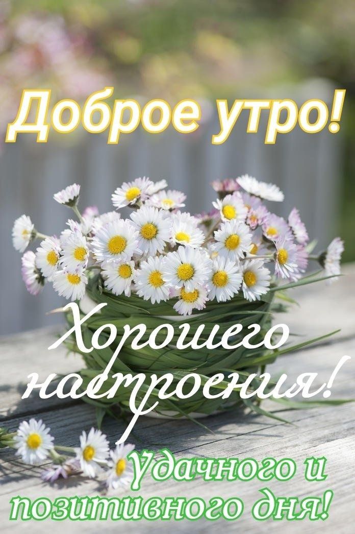 Тс 6160 еУТЪб Уёдиёэ пэвштшвнэдэ дня