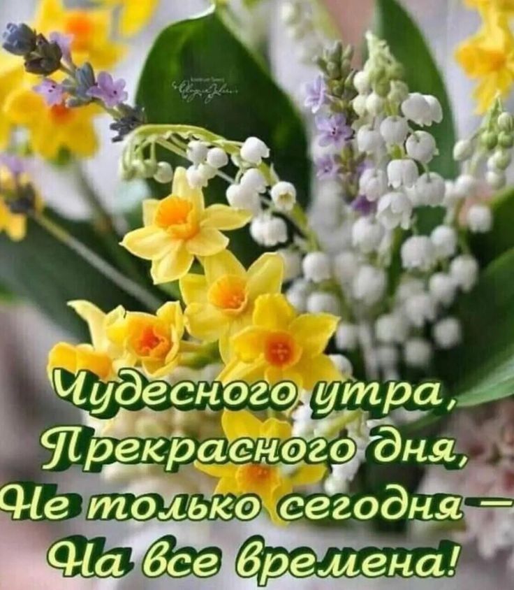 Чудесного утра, прекрасного дня, не только сегодня  на все времена!