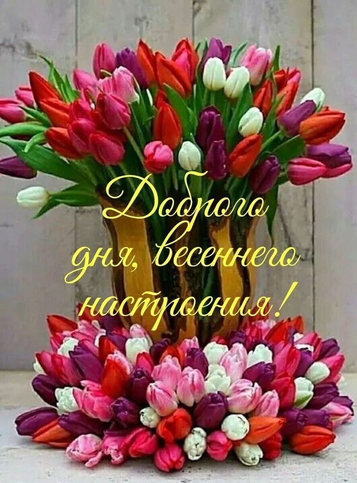 Доброго дня, весеннего настроения!