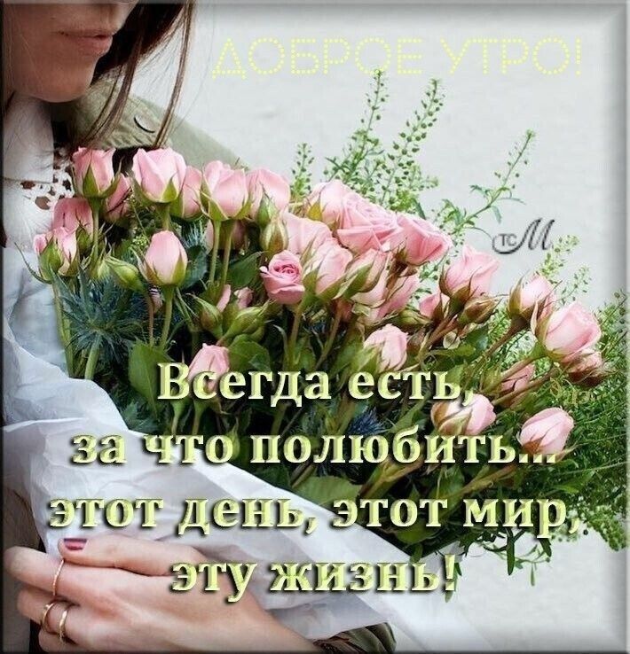 Доброе утро! Всегда есть, за что полюбить... Этот день, этот мир, эту жизнь!