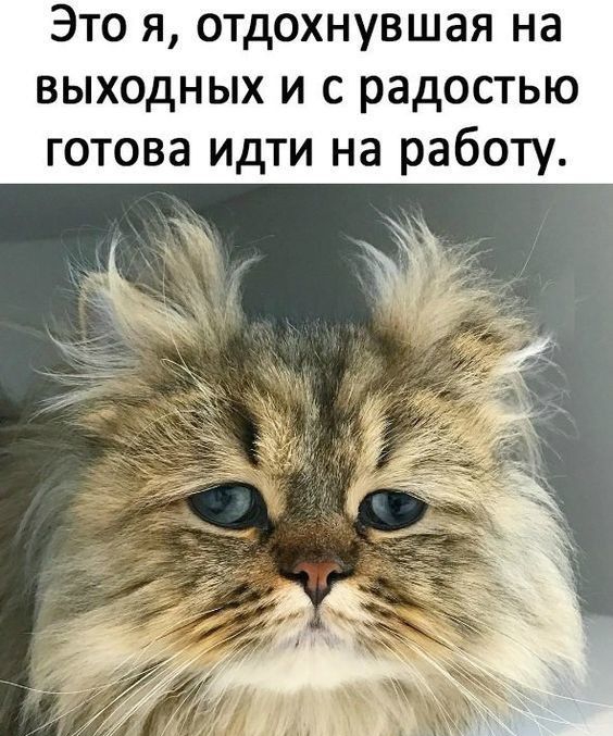 Это я отдохнувшая на выходных и с радостью готова идти на работу