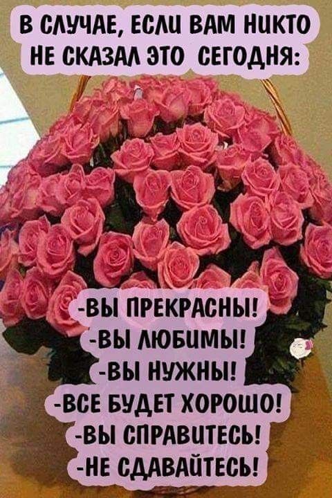 В СЛУЧАЕ ЕСМ ВАМ НИКТО НЕ СКАЗАА ЭТО СЕГОДНЯ а вы ппкідсныг