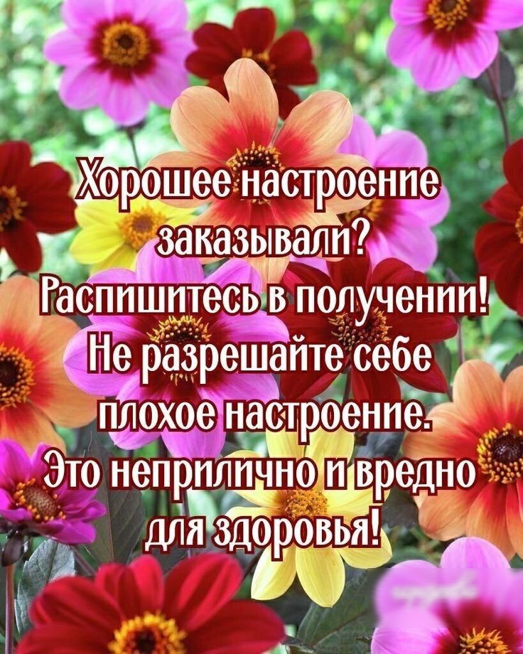 решее настроение Щ заказывали _Гасппшптесь в полученн Не раерешайте себе 4 плохоеГнастроенпе 30 непрп Ё ЛПЧНОГПДЗ даредно длячздо овьдд