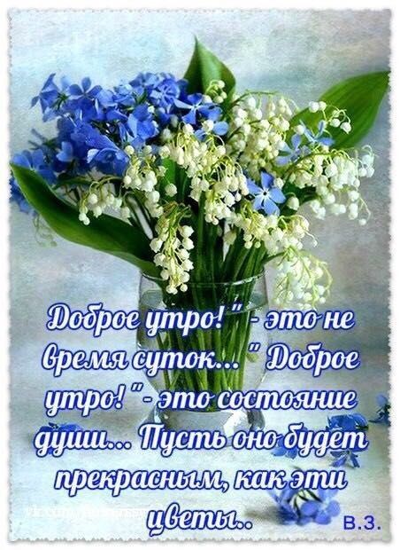 ботодчтый: