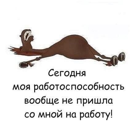 Сегодня моя работоспособность вообще не пришла со мной на работу