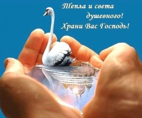 Япёпла и света душевного! Храни вас тосподь!