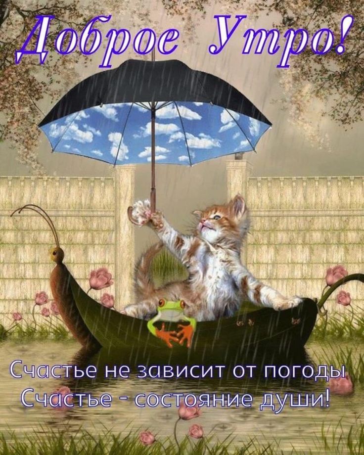 Ч1стье не зависит от погод