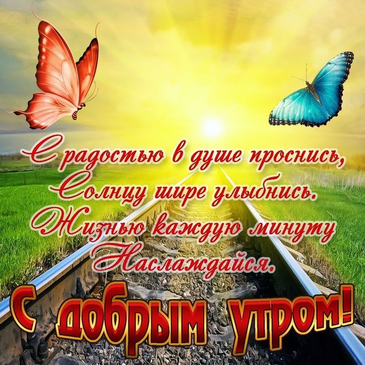 ЩЪЮ Ёууше просишь тёщи
