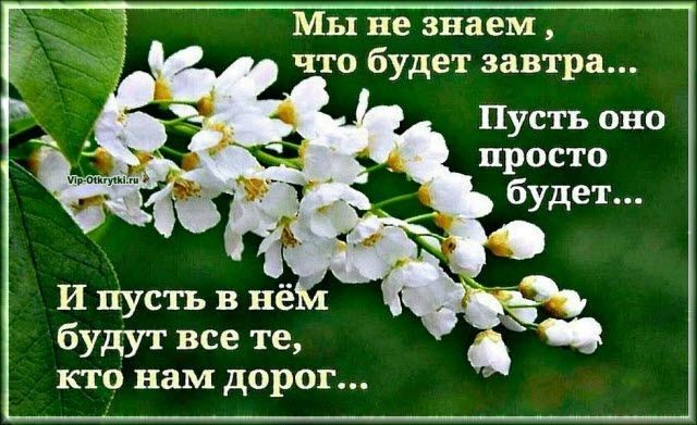Мы не знаем что будет завтра Пусть оно просто будут все те кто нам дорог