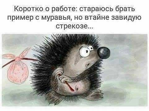 Коротко о работе стараюсь брать пример муравья но втайне завидую стрекозе