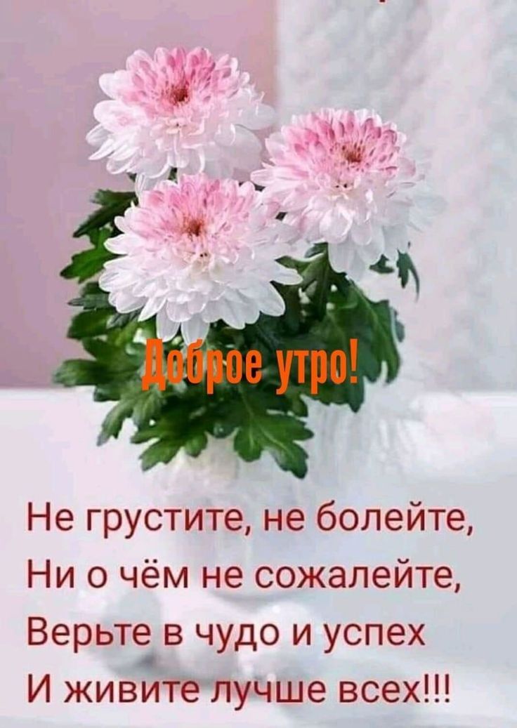 Не грустите не болейте Ни о чём не сожалейте Верьте в чудо и успех И живйте лучше всех