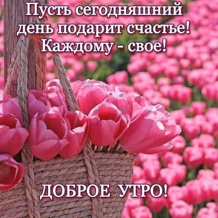 ПЁістъ Г сегодняшн Ж