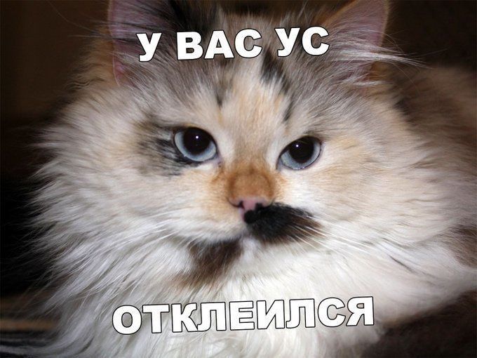 Ёш 1