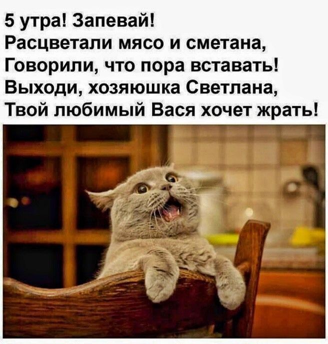 5 утра Запевай Расцветали мясо и сметана Говорили что пора вставать Выходи хозяюшка Светлана Твой любимый Вася хочет жрать
