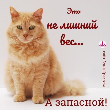 ЗЭ За 5385 запасной