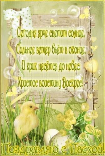 С игоднчиж ні Ё дома