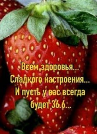 Всемддпрпвья Сдадщзгё настроения И пусть удзас всегда _ будеЁЗЬ 6 о