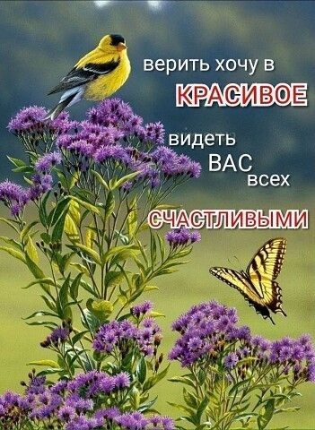 И1_ веритьхочув 47 д КРАёИВФЕ видеть ВАС всех