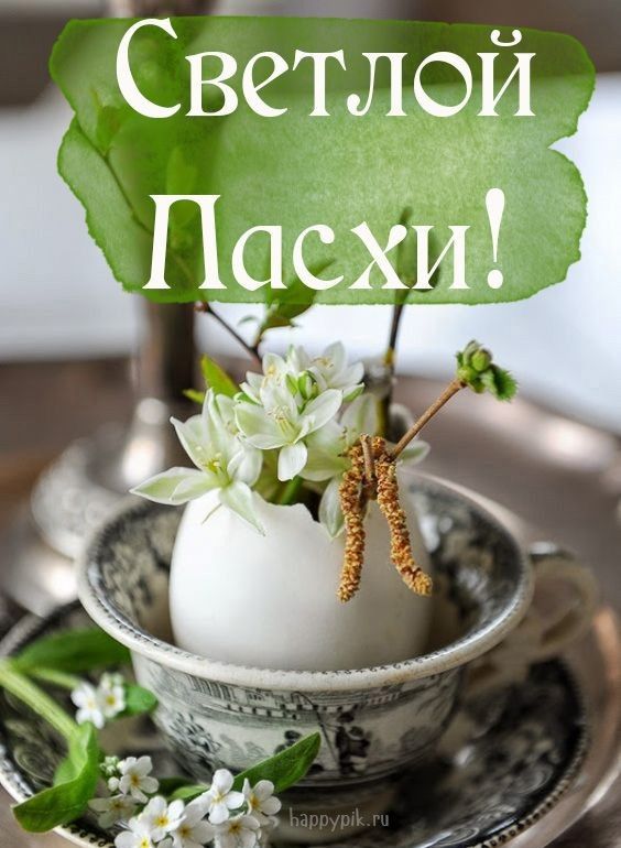 Светлои Пас
