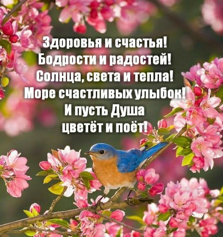 у г 31 _Одз__ ча Здоповьп счастья Биарриц педалей _ долина света и тепла ищю счастливых ипып и пусть душа _ цветётиппётгё _ г 421 1 _Д
