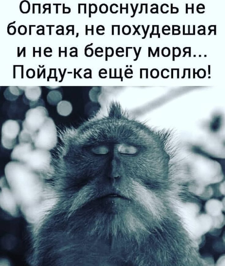 Опять проснулась не богатая не похудевшая и не на берегу моря Пойду ка ещё посплю