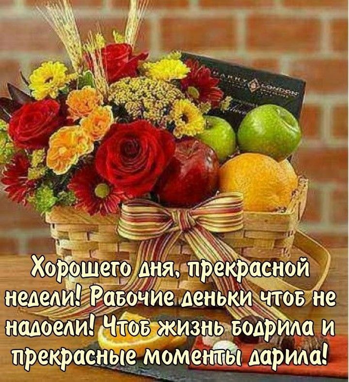 капов згдщэодрим и емшы дарила З ёпрекра