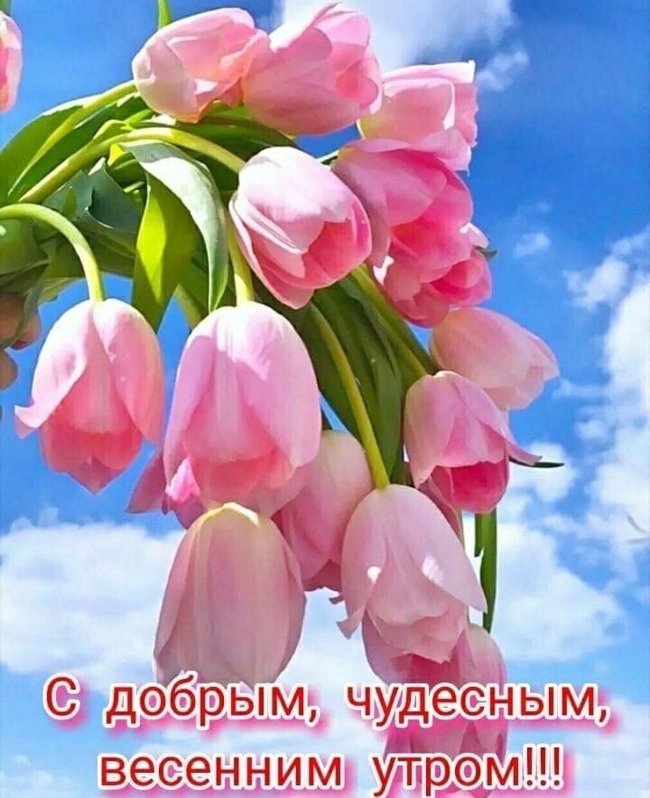 а есенн