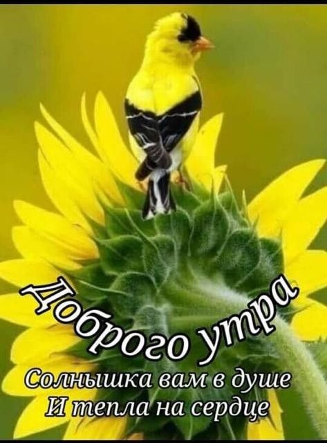 итышка вам в душе И тепла на сердце