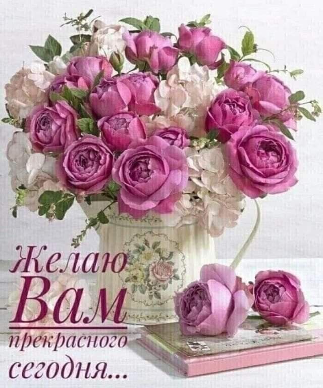 Эйрёкрадног сегодня