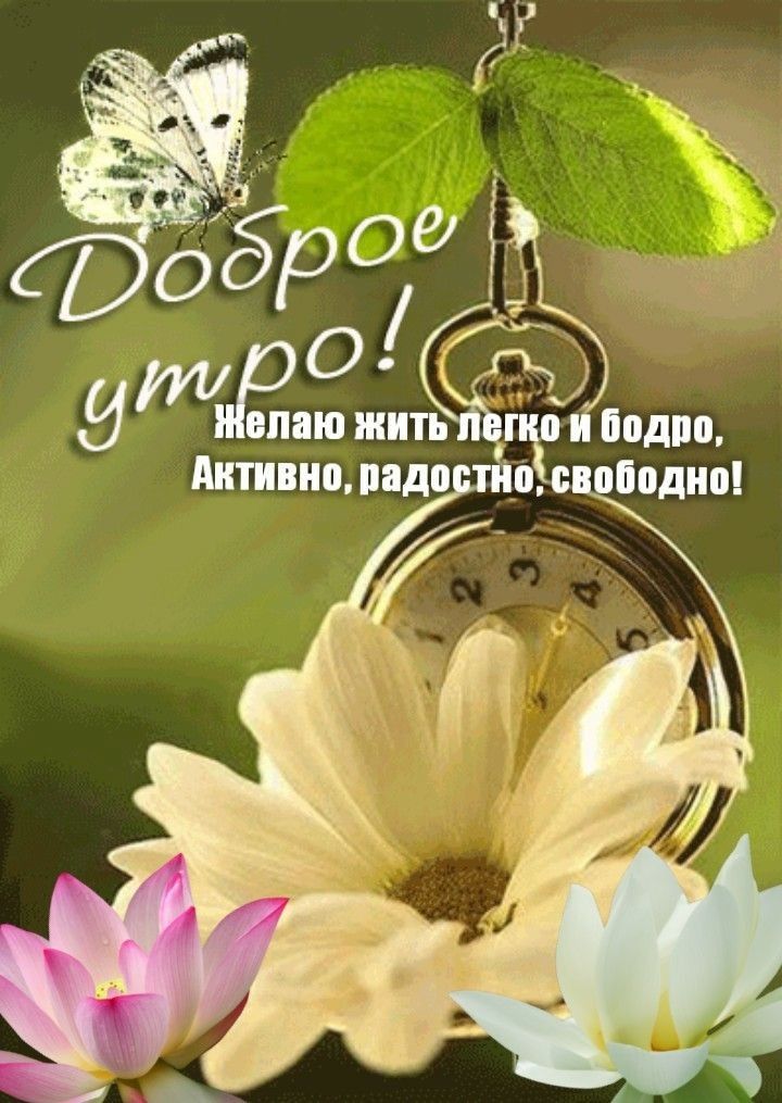 И 11 опаю жить Активно падо