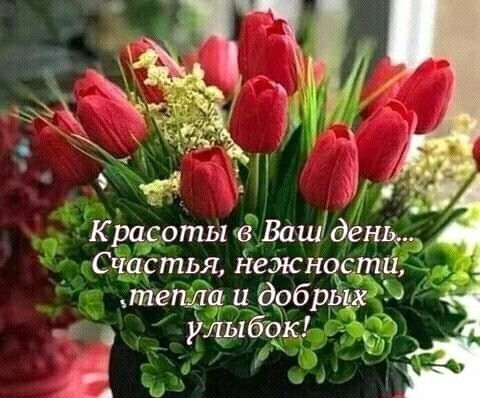 Красоты Вашдень 4 Счастья нежности тепла и добрьіх 4 улыбок к 4 Е