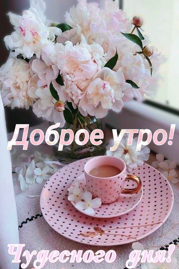 ос поа