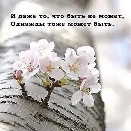 И даже то что быть не может Однажды тоже может быть