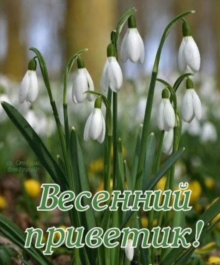 Че жнпшёё?  Привециие!.
