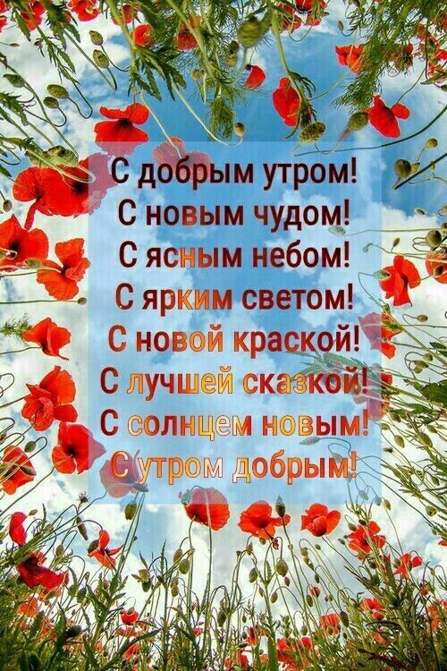 С новым чудом С ясным небом и С ярким светом С новй краскоиёзд